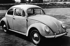 beetle.webp