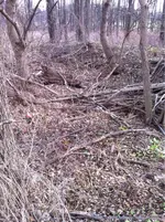 image-27276782.webp