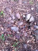 image-2601979150.webp