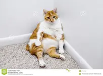 ERG10Lg.webp ERG10Lg.webp
