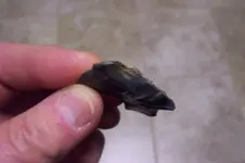 100_4667.webp