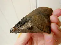 DSCN2410.webp