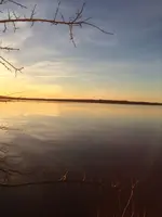 image-1989762112.webp
