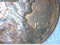 penny1.webp