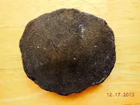 DSCN3257.webp