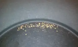 IMAG1162.webp IMAG1162.webp