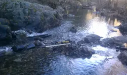 IMAG1159.webp IMAG1159.webp