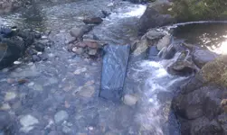 IMAG1160.webp IMAG1160.webp