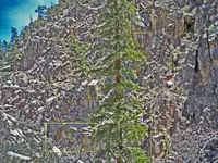 100_1743--Sancho.webp