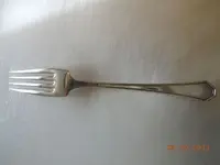 DSCN1907.webp