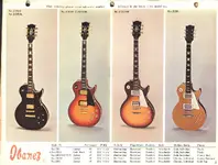 ERG10Lg.webp
