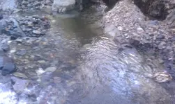 IMAG1161.webp IMAG1161.webp