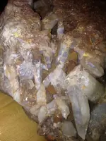 image-3205588218.webp