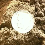 photo_5.webp