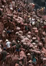 gold-mine-in-brazil-19-pics_14.webp gold-mine-in-brazil-19-pics_14.webp