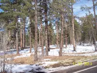 100_2532.webp