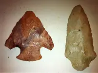 image-318777859.webp