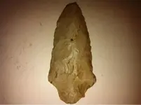 image-1002819820.webp