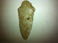 image-4107544106.webp