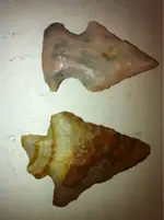 image-1769989059.webp