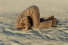 Human Ostrich jpg.webp