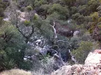 image-317378284.webp
