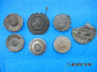 rosettes 001.webp