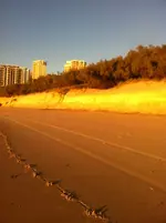 009 (747x1000).webp