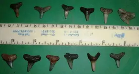 DSCF0013.webp