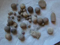 homesite finds-5.webp