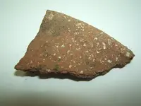 DSCF3476.webp