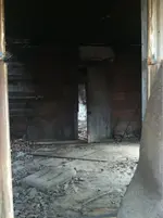 image-466381027.webp