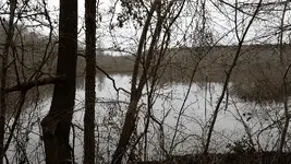 ForumRunner_20140105_100944.webp