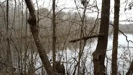 ForumRunner_20140105_100937.webp