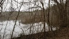 ForumRunner_20140105_100952.webp