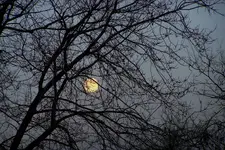 sun moon 2.webp