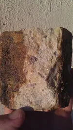 IMAG1032.webp