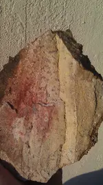 IMAG1029.webp