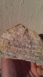 IMAG1033.webp