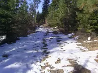 IMG_20131203_110558.webp