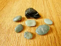 DSCN2536.webp