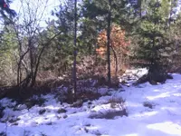 IMG_20131203_110609.webp