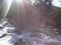 IMG_20131203_110628.webp