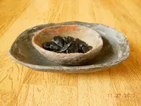 DSCN2537.webp