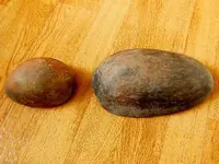 RSCN2751.webp
