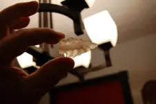 Georgia (6).webp