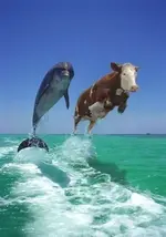 !cid_093001c75aba$b768e3f0$6401a8c0@Amish.webp