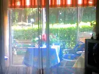 sunny.webp