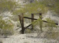 ghost structure.webp