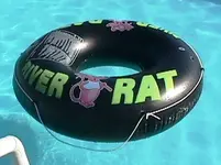 rat.webp